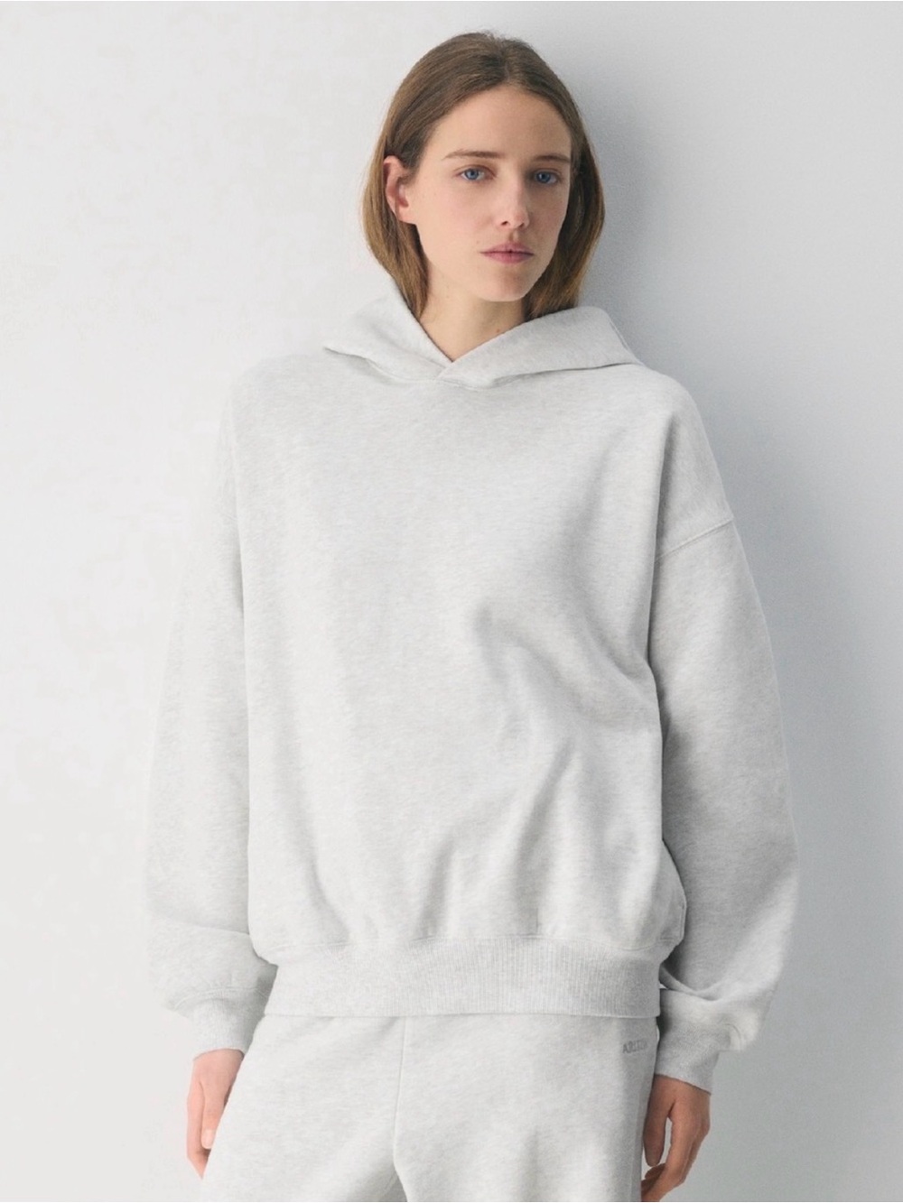 Aritzia Sweatfleece Cozy Fleece Mega Fit Hoodie | Heather Gray | Size S
